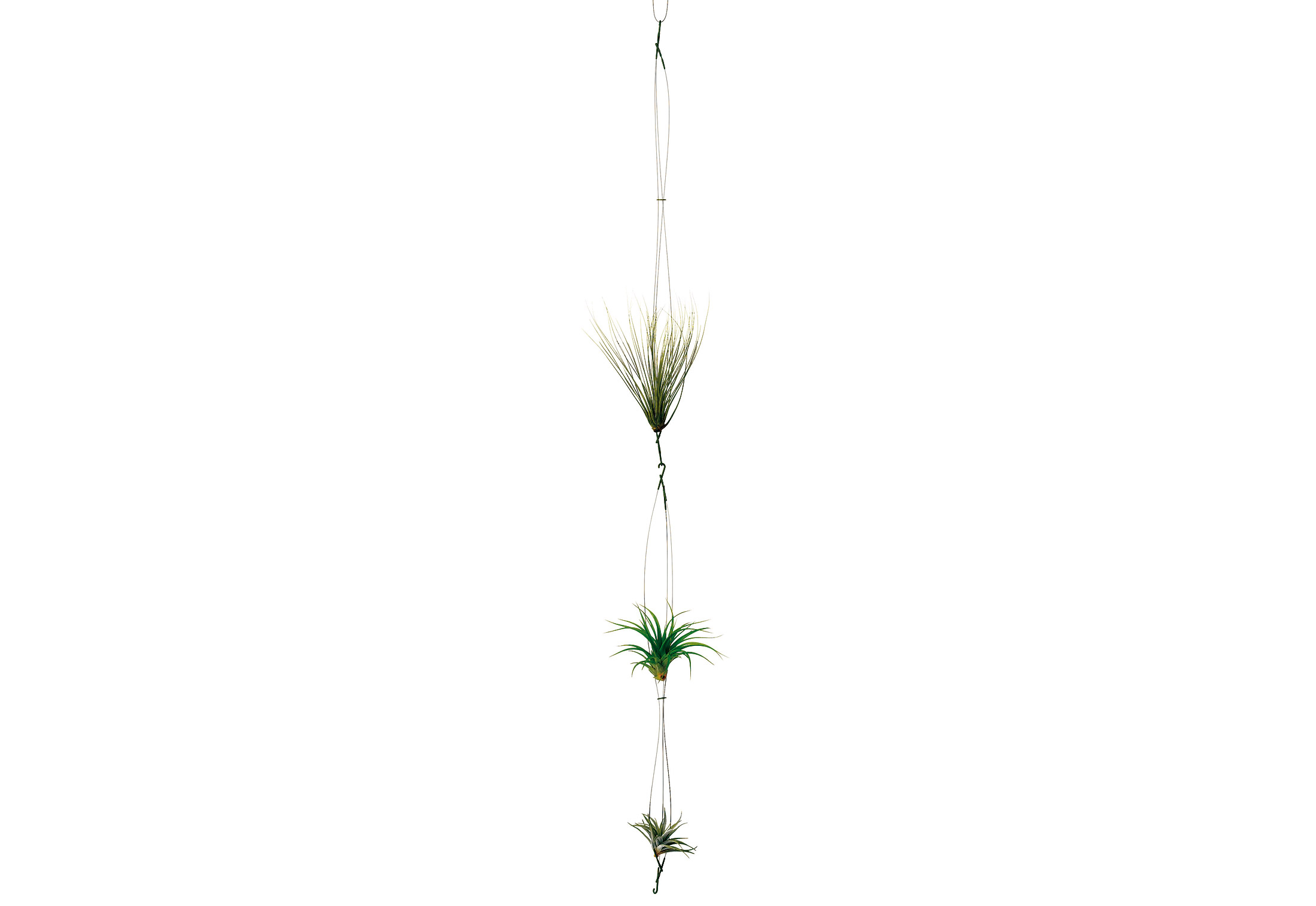airplant by teracrea stylepark