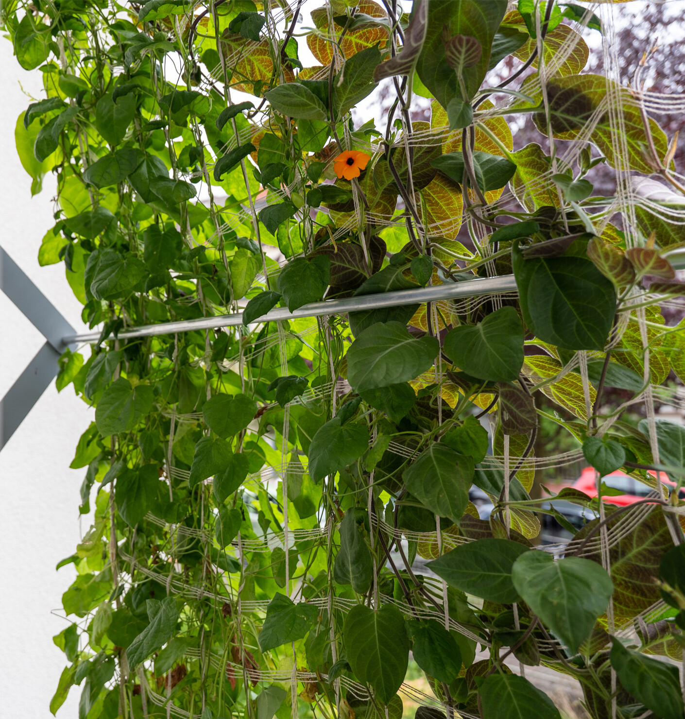 Modularer Klimaschutz