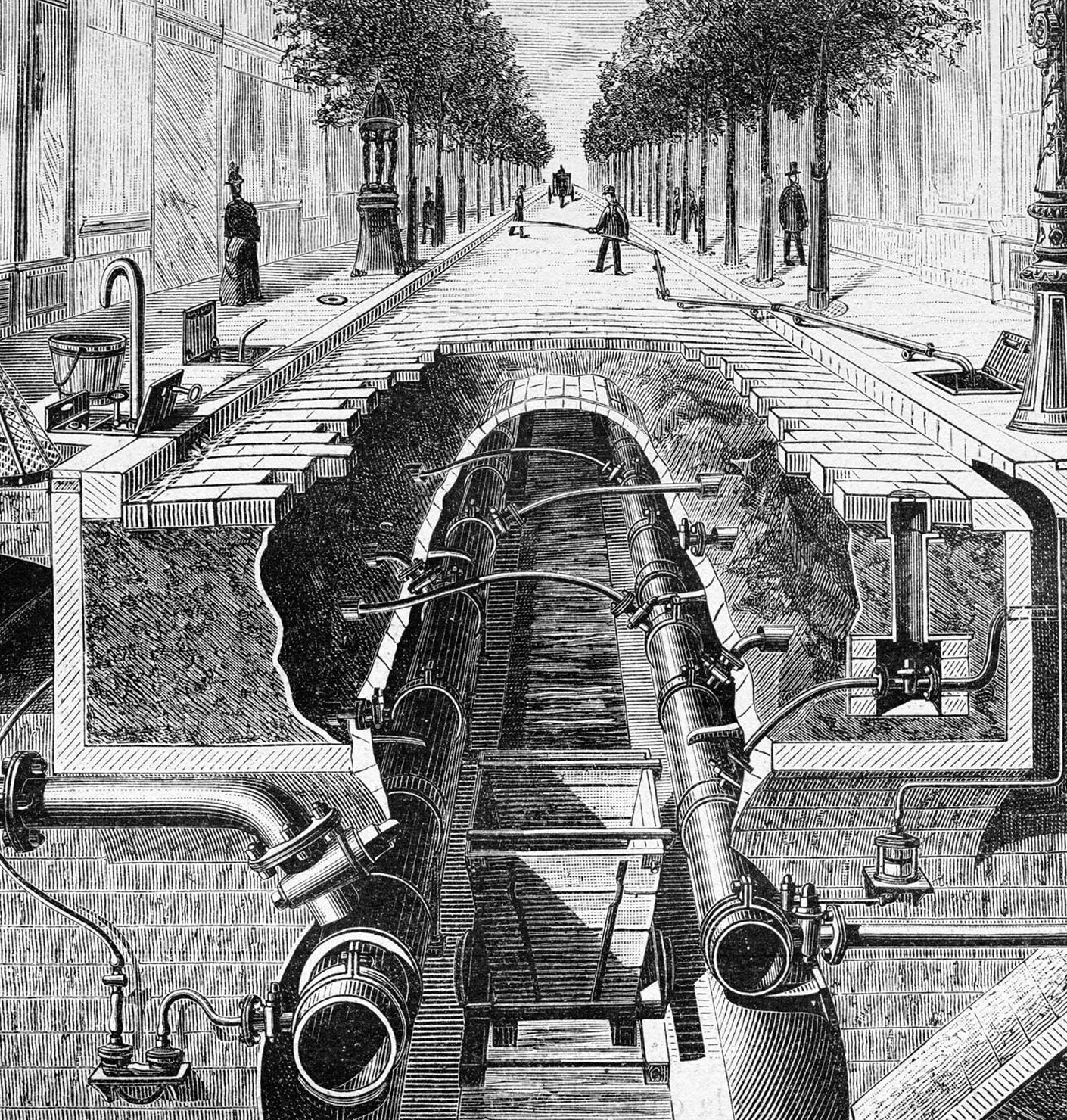 Building with microbes