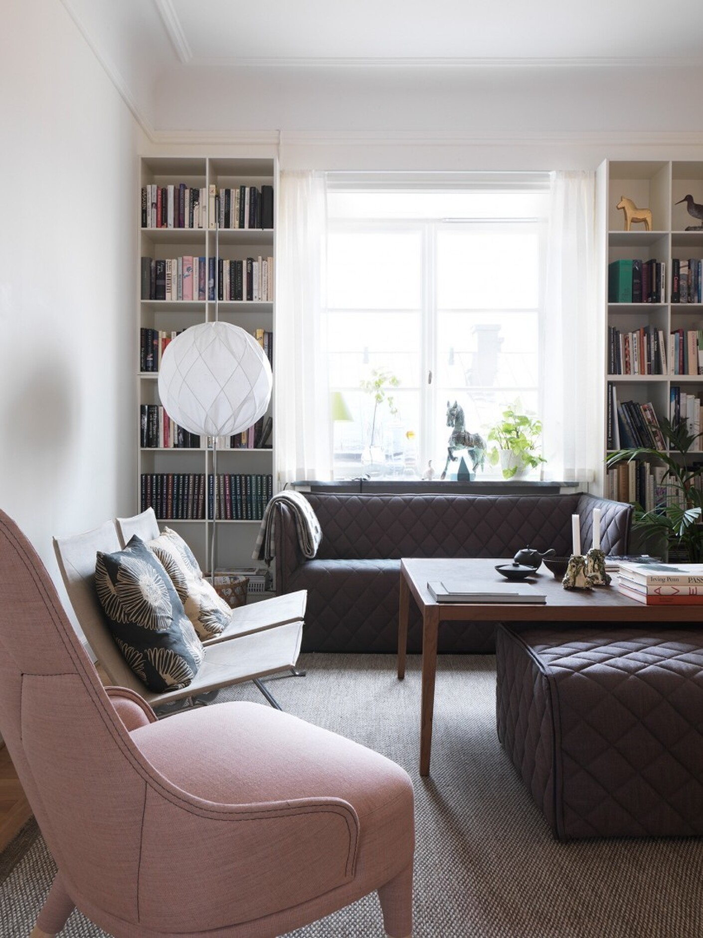 Napoleon by the Nile