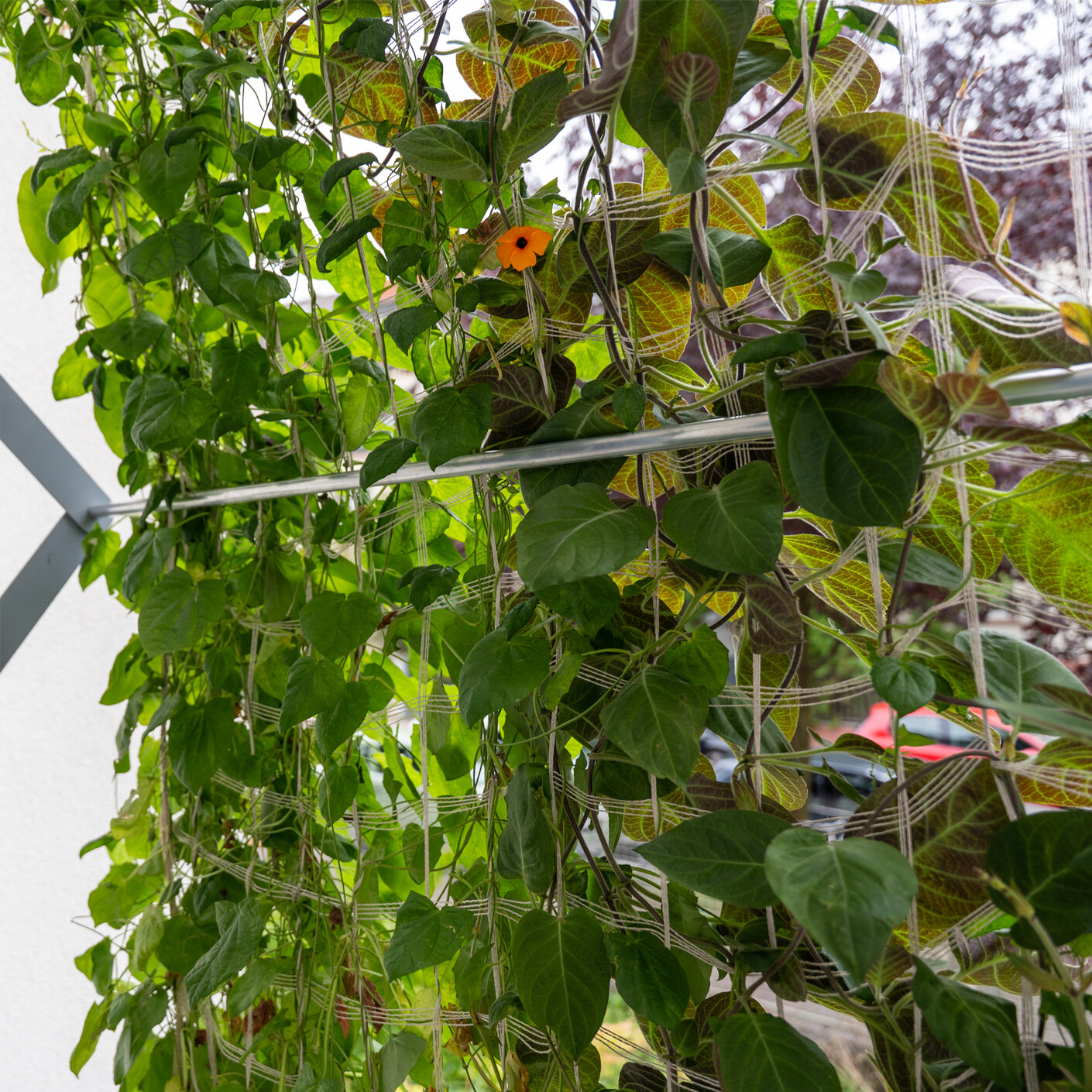 Modularer Klimaschutz