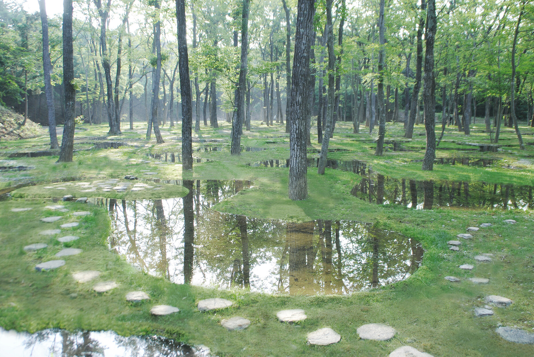 Recently opened: The water garden in Tochigi, Japan.