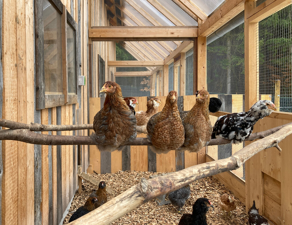 Pioneers of urban mining gaupenraub +/ in interview STYLEPARK