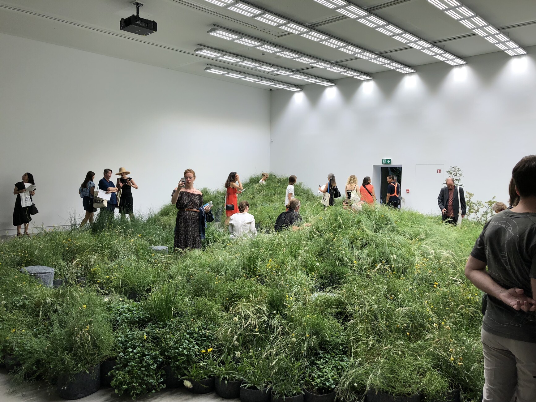 Biennale 2018 Australian Pavilion Stylepark