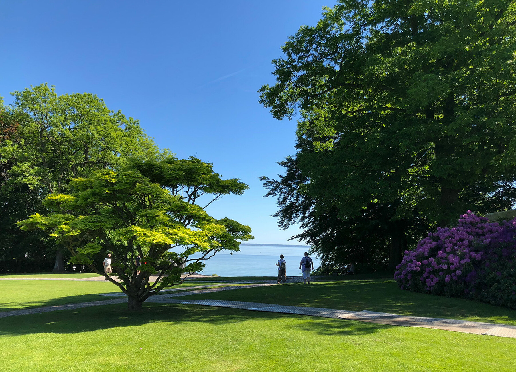 Energie tanken im Louisiana Museum of Modern Art