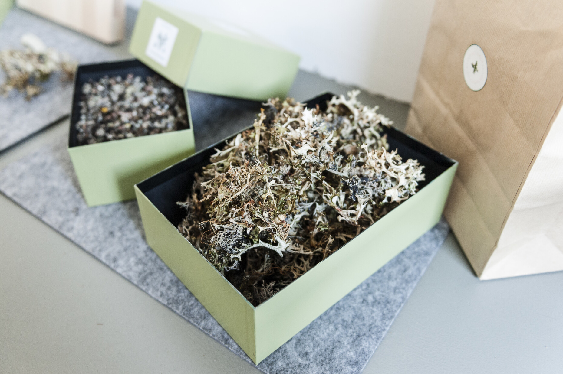 Vienna Design Week, Neubau, Polen