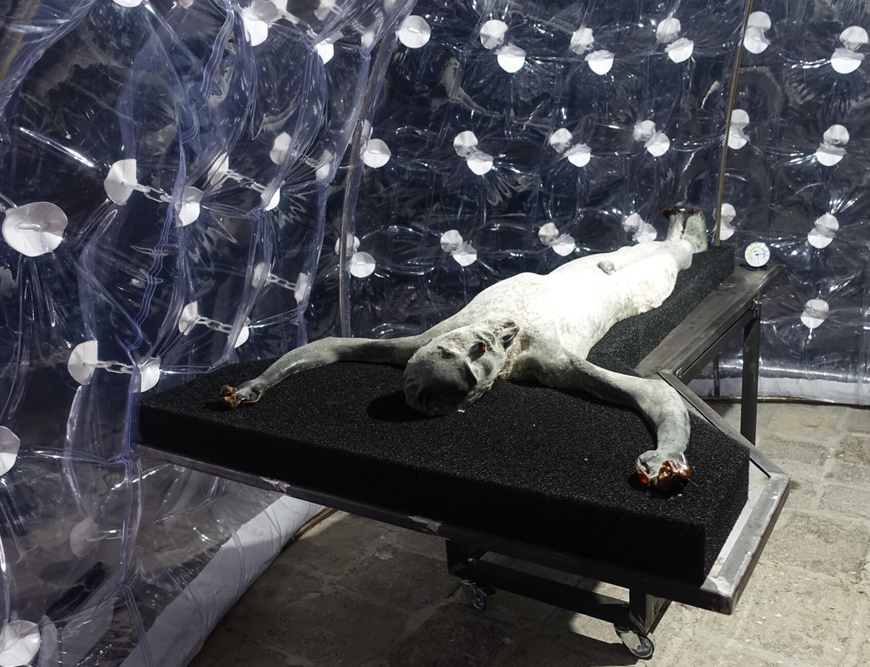 Der Künstler als alter creator: "Il mondo magico" heißt der Beitrag von Giorgio Andreotta Calò, Roberto Cuoghi und Adelita Husni-Bey, der um die Dokumentation der Imitatio Christi kreist.