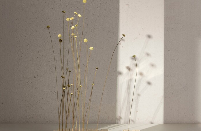 Anagramma 02 landscape 2020x1313