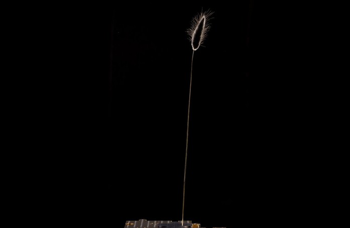 Anagramma 03 landscape 2020x1313