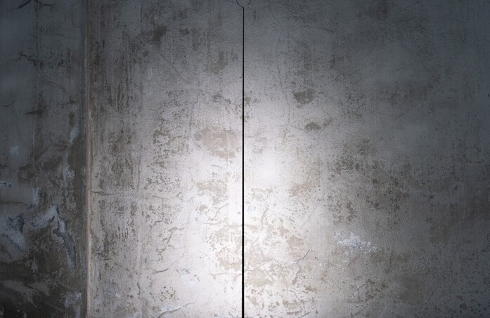 Anima 07 landscape 2020x1313