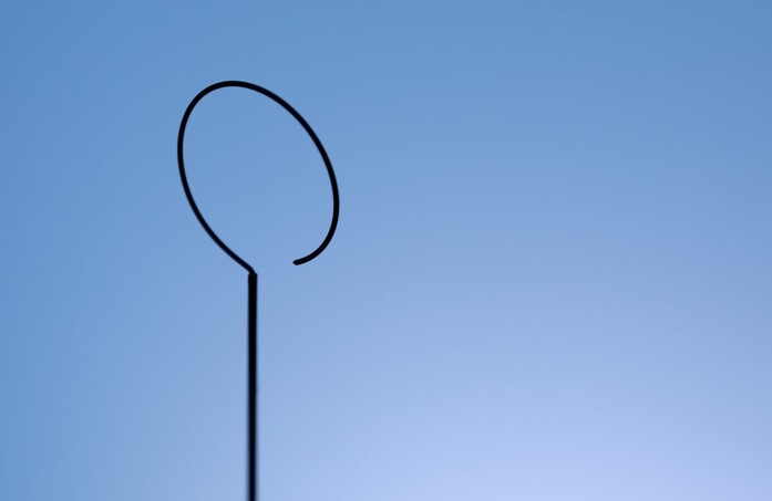 Anima 08 landscape 2020x1313