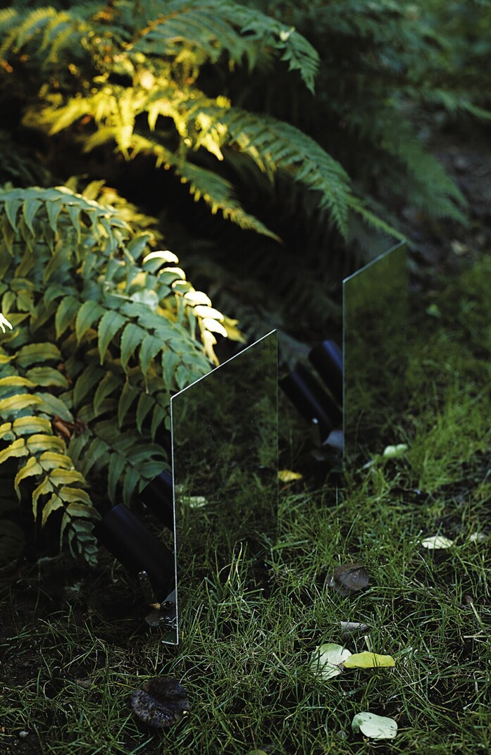 Belladinotte 03 portrait 1313x2020