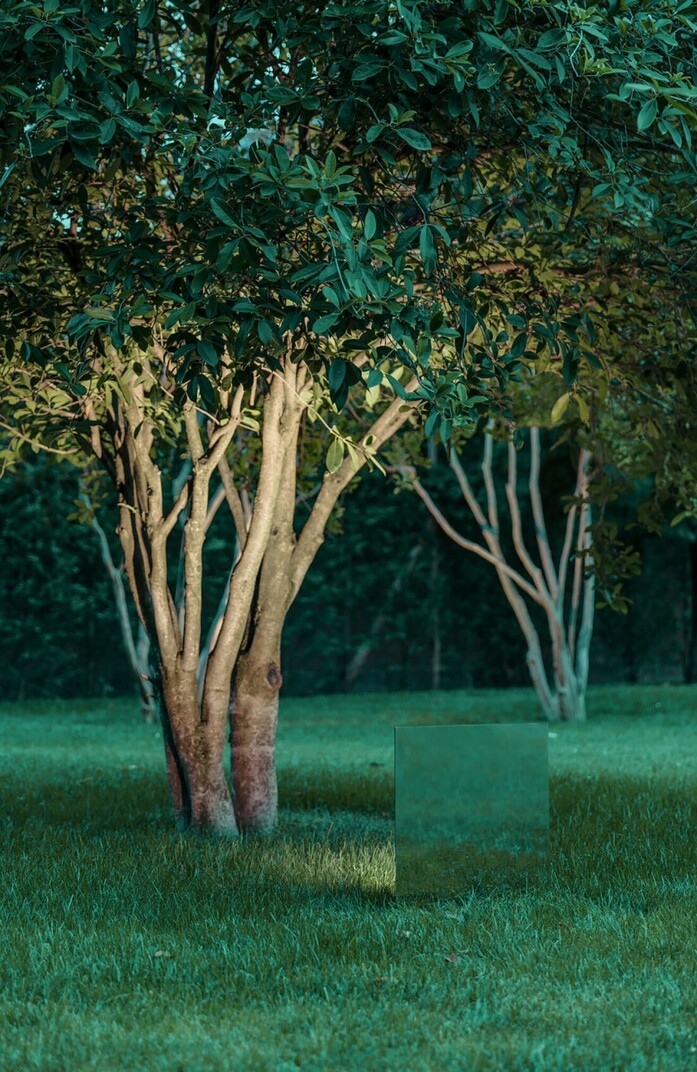 Belladinotte 04 portrait 1313x2020