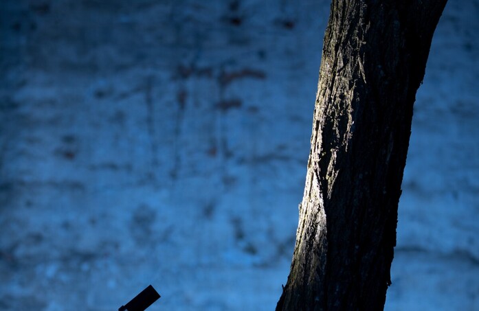 Buio 03 landscape 2020x1313