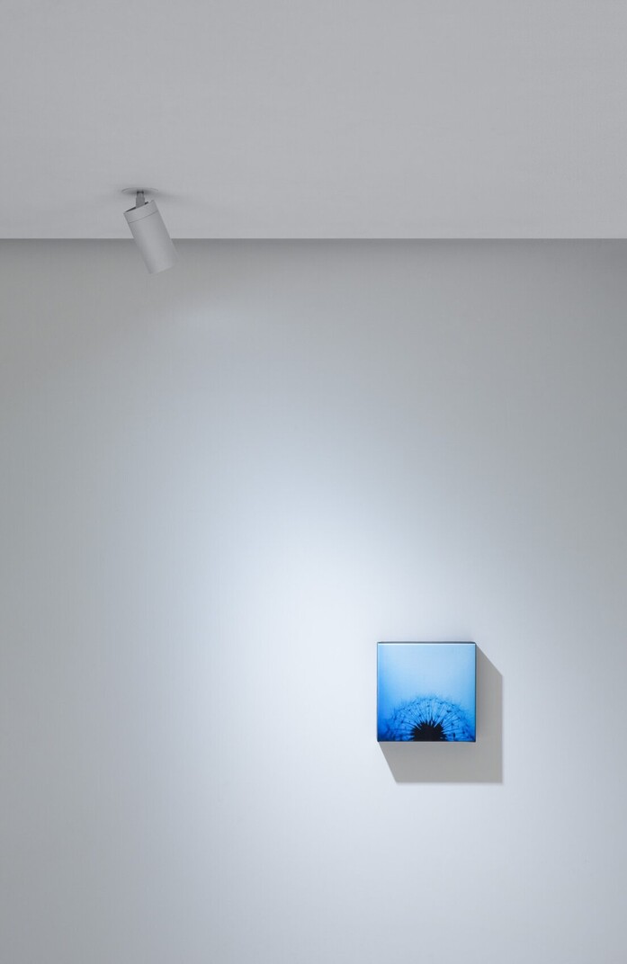 Dot r 02 portrait 1313x2020