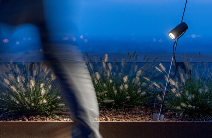 Grillo 04 landscape 2020x1313