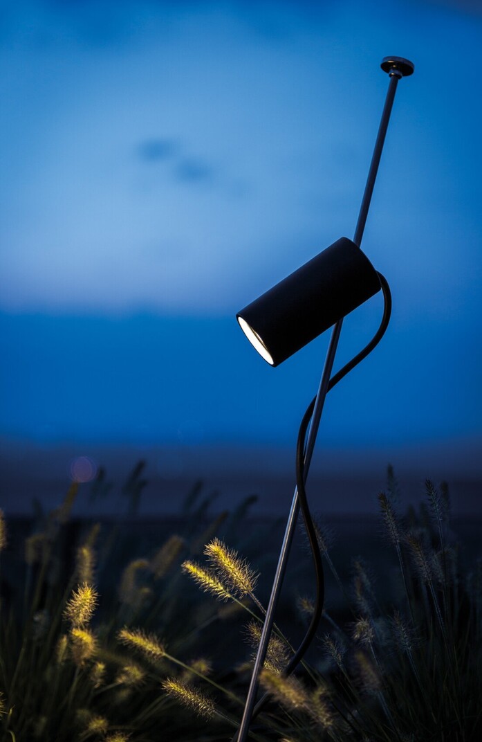 Grillo 05 portrait 1313x2020