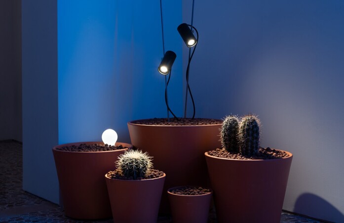 Grillo 06 landscape 2020x1313