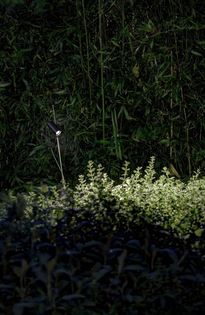 Grillo 07 portrait 1313x2020