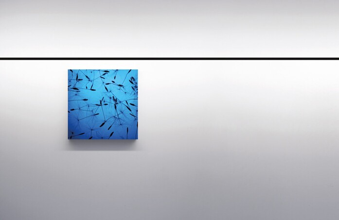 Infinito 02 landscape 2020x1313