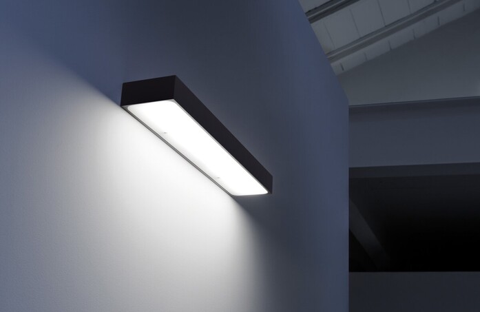 Linet 04 landscape 2020x1313