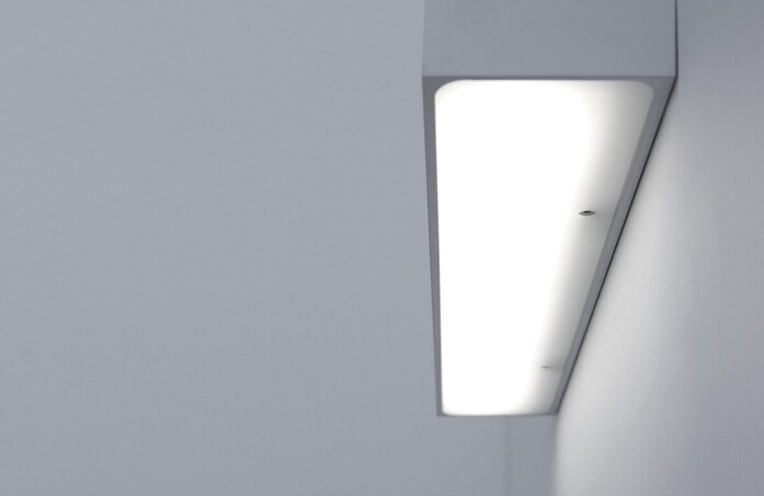 Linet 07 landscape 2020x1313