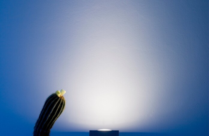 Q2 02 landscape 2020x1313