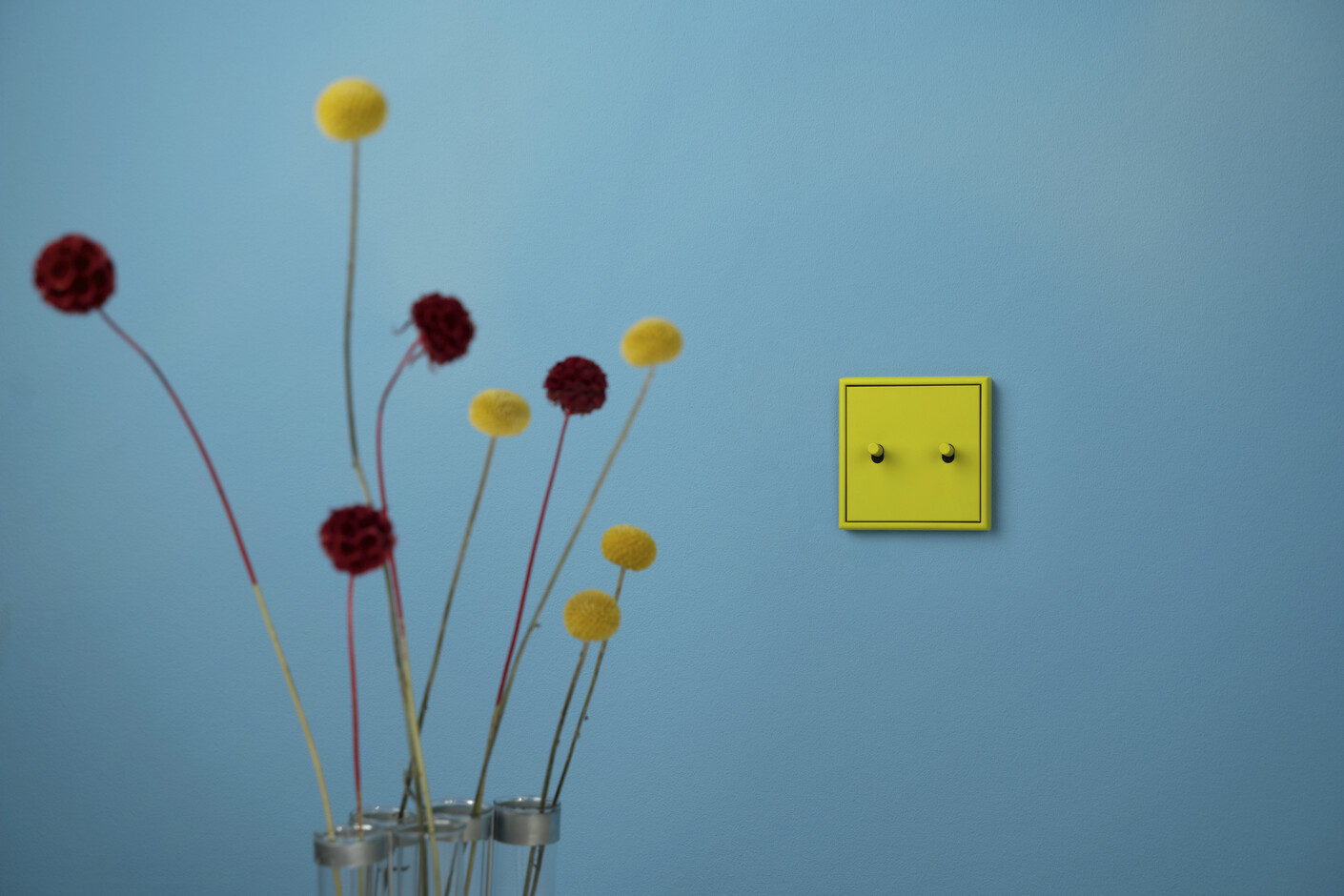 LS 1912 Les Couleurs® Le Corbusier® | Switch range