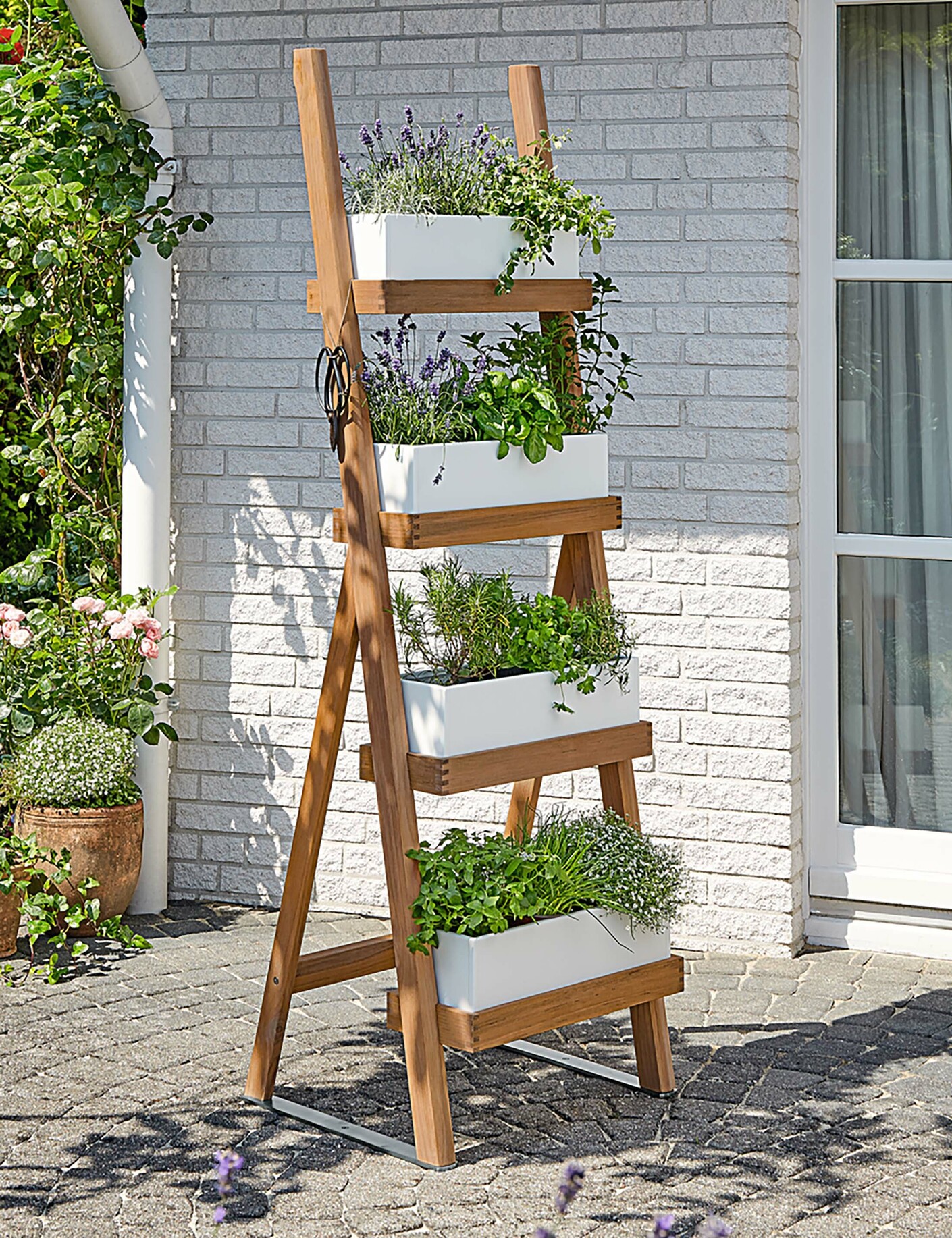 Normandie Pflanzenleiter