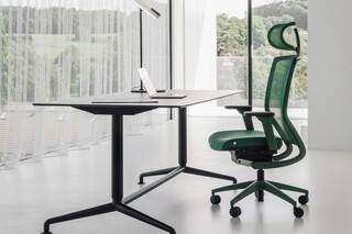 Titan green  by  Wagner Living