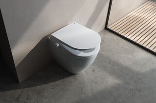 Cleanet Pro  von  Laufen
