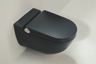Cleanet Riva  von  Laufen