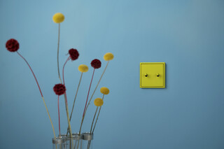 LS 1912 Les Couleurs® Le Corbusier® | Switch range  by  JUNG