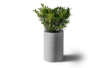 GDM.CYLINDRIC planter
