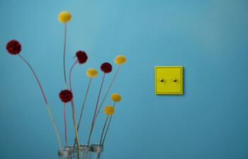 Les Couleurs® Le Corbusier