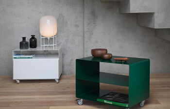 R 107N trolley wit hinged door