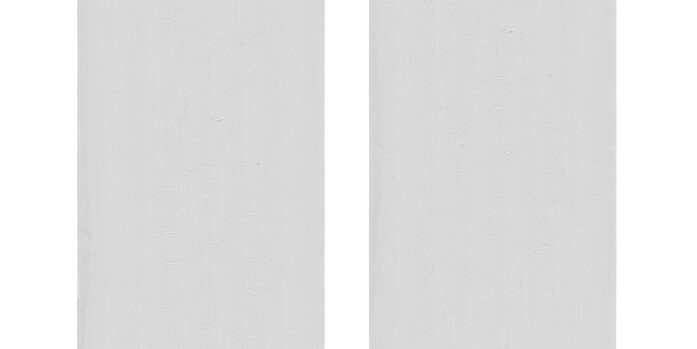 0099864 Laser Rosa V