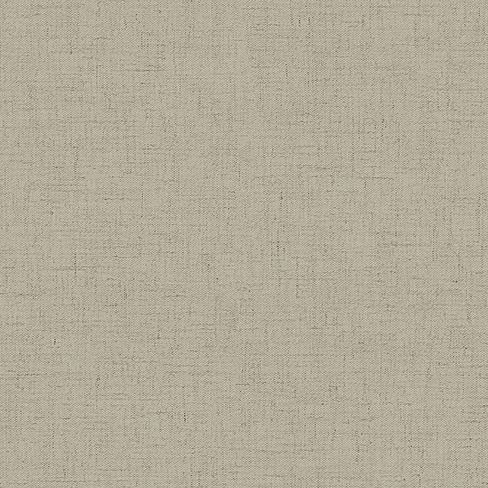 0102115 0241 Osculino R