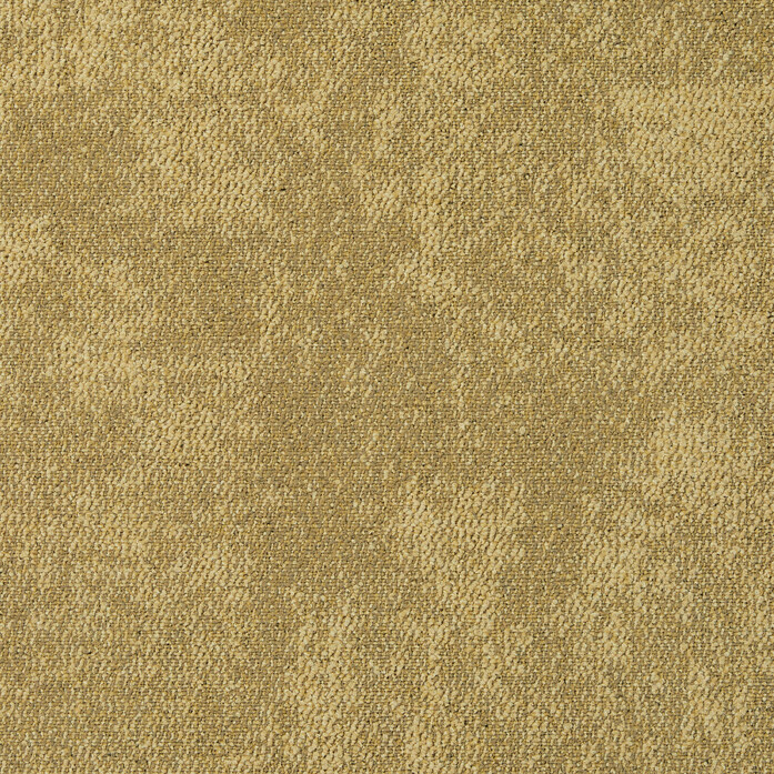 CE100 Search 2048x2048