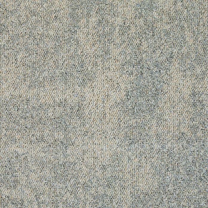 CE100 Survey 2048x2048