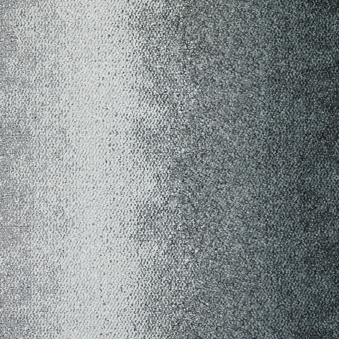 CE200 Emulate Perceive 2048x2048