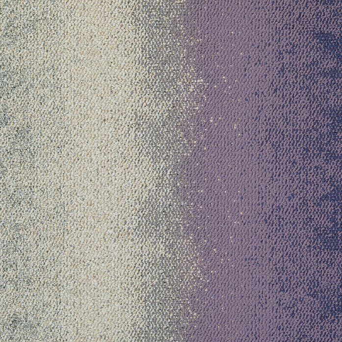 CE200 Survey Contend 2048x2048