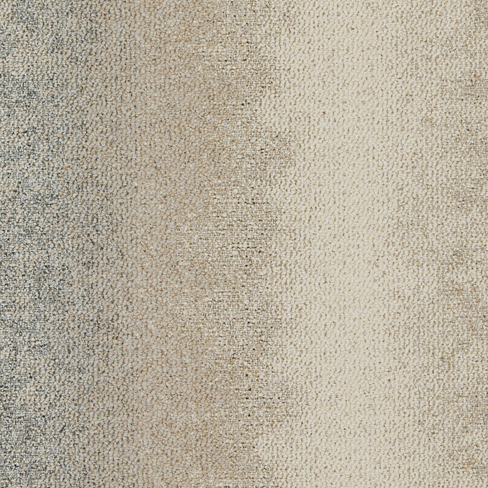 CE200 Consider Survey 2048x2048