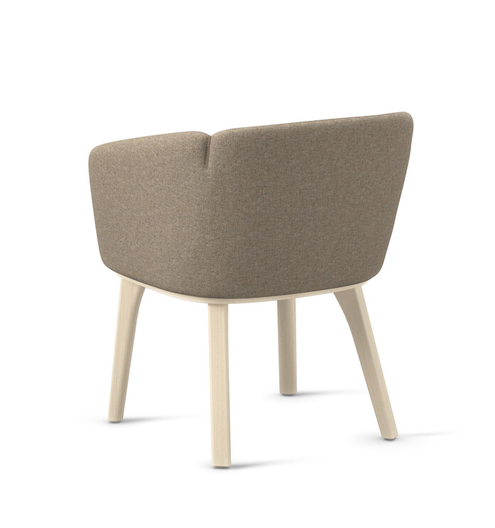 Central F 259 Fenice8084 ash back