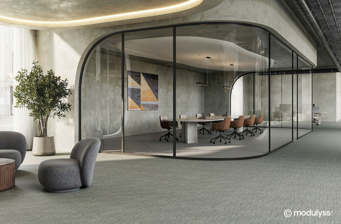 MODULYSS Interior Full Haelo Ray 651 Ray 950 Office HR copyright