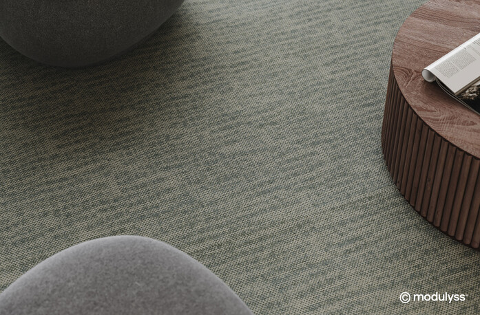 MODULYSS Interior Macro1 Haelo Ray 651 Ray 950 Office HR copyright