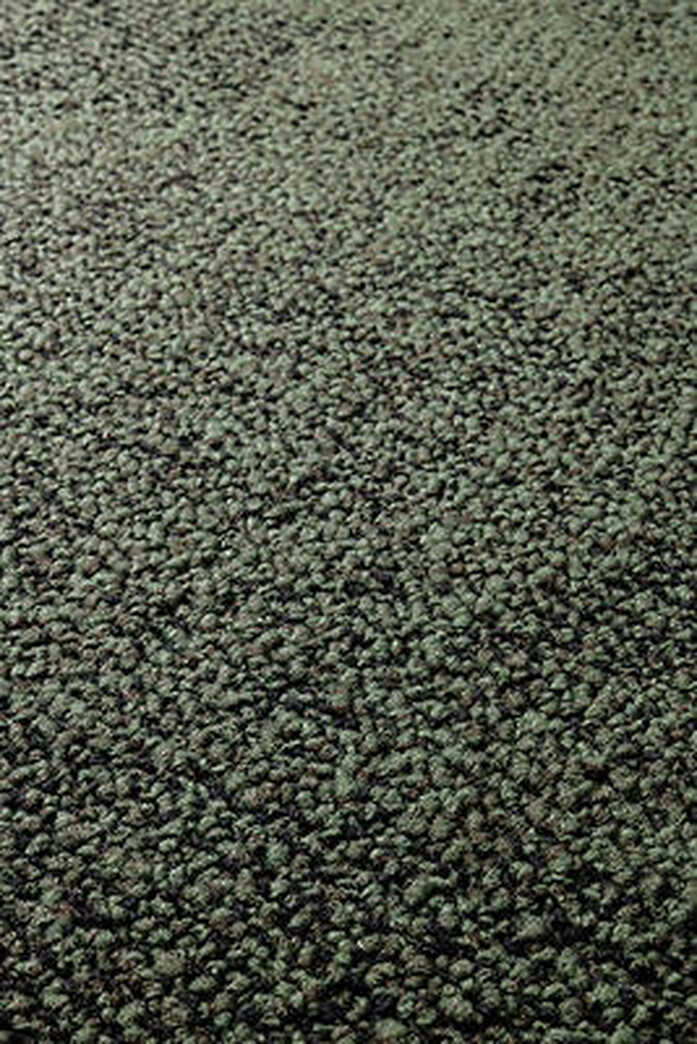 Paver Forest jpg interface presentation