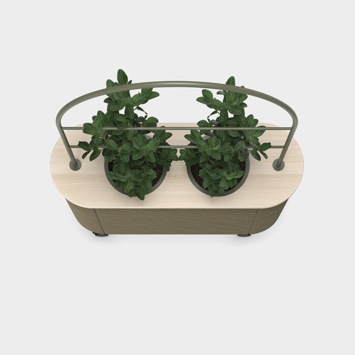 Skandiform Hedge T 4620 Ash White Synergy Dark Green Top View