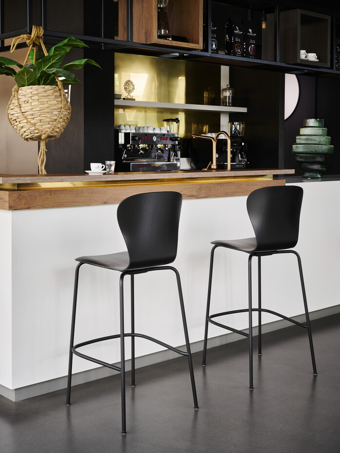 Thonet CGA S 220 H RAL9005 matt Eiche TP29 Jun24 FF