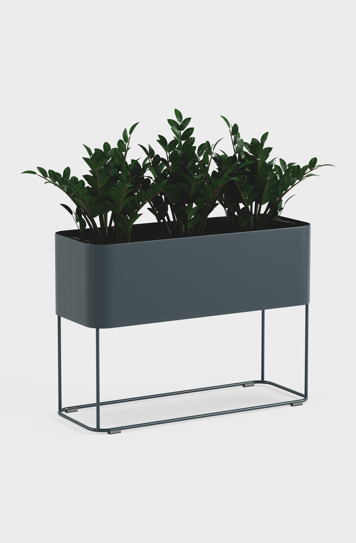 Kin product grow growfb56 38839